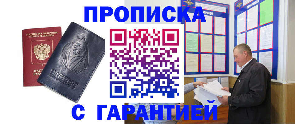 прописка поиск в Чкаловске